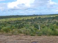 Krüger NP