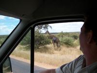 Kruger NP