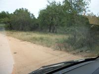 Kruger NP