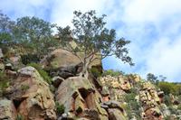Kruger NP