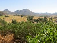 Landschaft bei Yeha