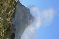 Lions head Kapstadt