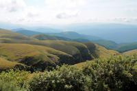 Long Tom Pass