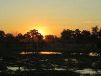 Mababe Konsesion - Sonnenuntergang am Khwai River