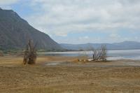 Manyara