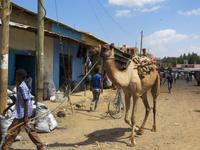 Markt in Axum