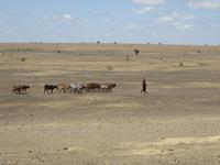 Massaisteppe