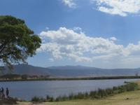 Mittagspause im Ngorogoro Krater