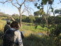Mogotlho Safari Lodge - Busch-Spaziergang - das Flusspferd haben wir aus Versehen geweckt