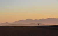 Morgendunst im Namib Naukluft Nationalpark