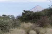 Mount Etjo Lodge, Safari