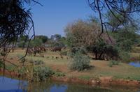 Mount Etjo Lodge