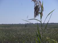 Mudumu Nationalpark