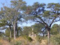Mudumu Nationalpark