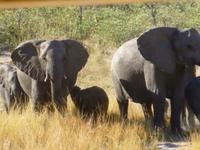 Mudumu Nationalpark