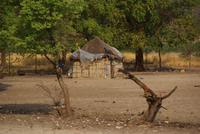 Namibia (3)