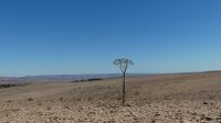 Namibia - Ausflug zumFish River Canyon