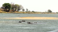 Namibia - Bootsfahrt Okavango
