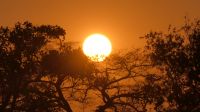 Namibia - Bootsfahrt Okavango