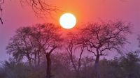 Namibia - Bootsfahrt auf dem Kwando - Sonnenuntergang