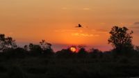 Namibia - Bootsfahrt auf dem Kwando - Sundowner
