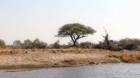 Namibia - Bootsfahrt auf dem Kwando