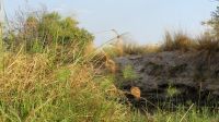 Namibia - Bootsfahrt auf dem Kwando