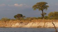 Namibia - Bootsfahrt auf dem Kwando