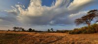 Namibia - Bootsfahrt auf dem Kwando