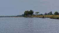 Namibia - Bootsfahrt auf dem Okavango
