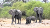 Namibia - Bootsfahrt auf dem Okavango