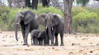 Namibia - Bootsfahrt auf dem Okavango