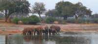 Namibia - Bootsfahrt auf dem Okavango