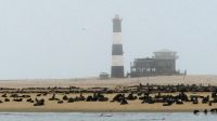 Namibia - Bootsfahrt in der Lagune Walvis Bay - Robbenkolonie