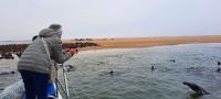 Namibia - Bootsfahrt in der Lagune von Walvis Bay 