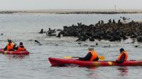 Namibia - Bootsfahrt in der Lagune von Walvis Bay