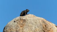 Namibia - Canyon Lodge - Security