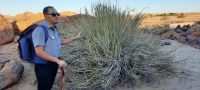 Namibia - Canyon Lodge - Wanderung auf den Hausberg