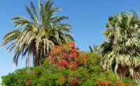 Namibia - Canyon Lodge