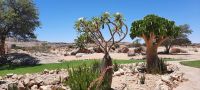 Namibia - Canyon Lodge