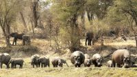 Namibia - Erlebnisse am Okavango 