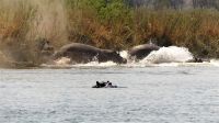 Namibia - Erlebnisse am Okavango