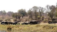 Namibia - Erlebnisse am Okavango