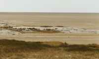 Namibia - Etosha Nationalpark - Salzpfanne