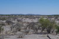 Namibia - Etosha Nationalpark