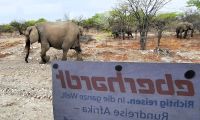 Namibia - Etosha Nationalpark