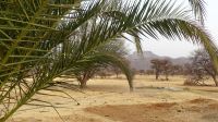 Namibia - Gabus Game Ranch bei Otavi