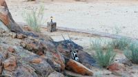 Namibia - Guten Morgen in der Canyon Lodge