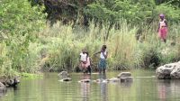 Namibia - Leben am Okavango