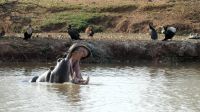 Namibia - Mount Etjo Lodge - Begrüßung